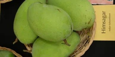 The Magic of Himsagar and Kishan Bhog Mangoes|Buy mangoes online
