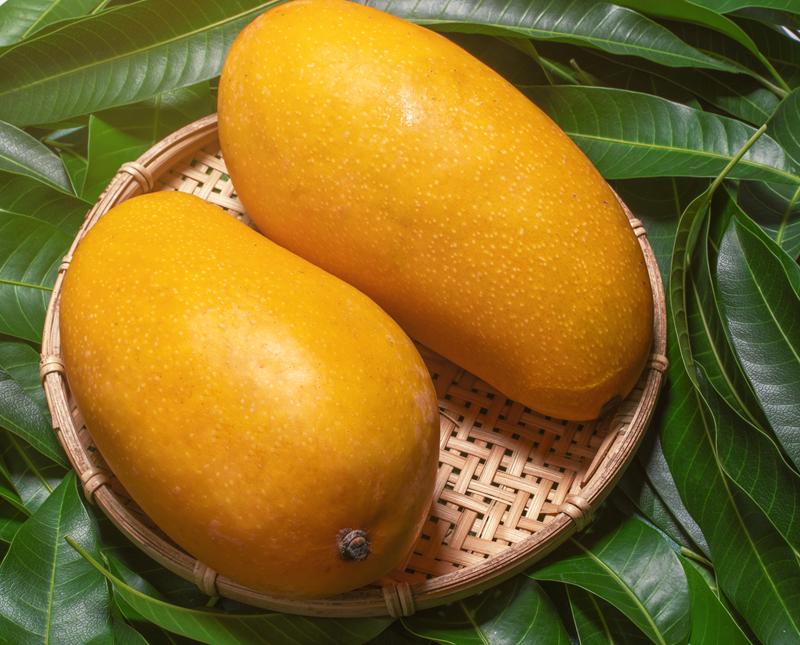 Chaunsa Mangoes