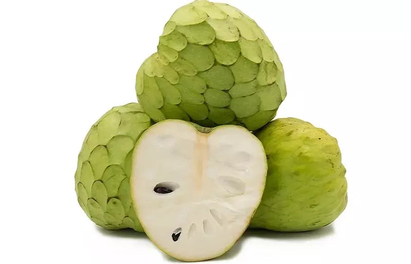 Cherimoya