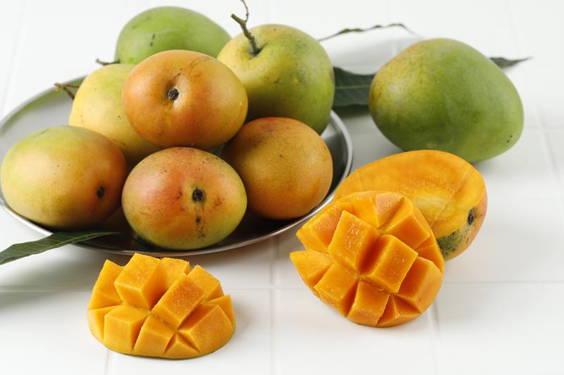 Ratnagiri & Devgad Alphonso Mangoes