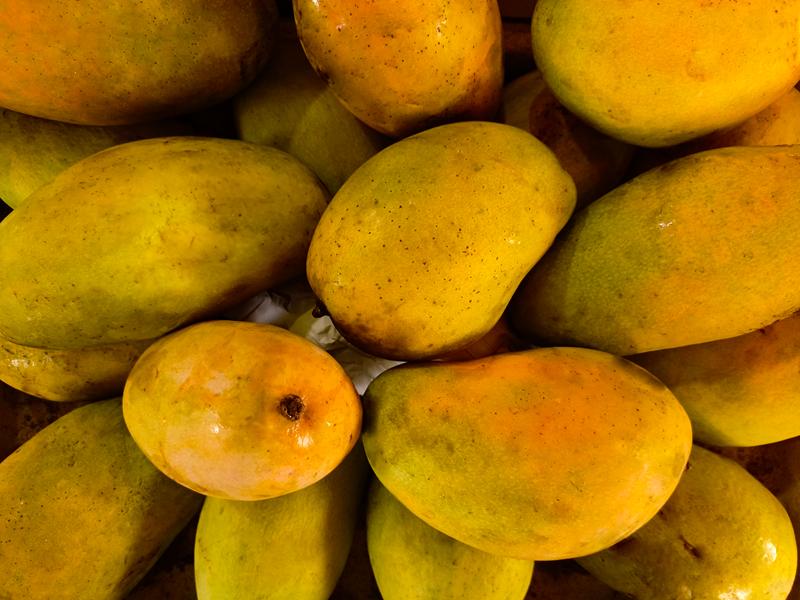 Himmayat / Immam Pasand Mangoes