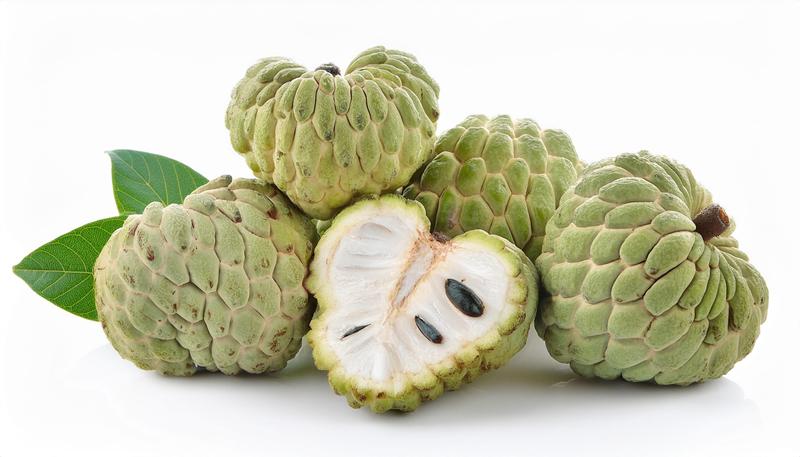 Season Sitaphal/Custard Apple/Sugar Apple