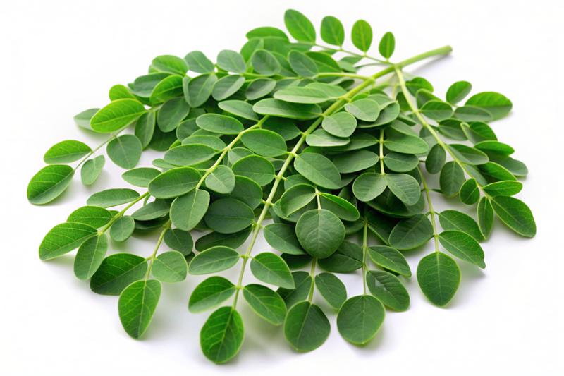Fresh Moringa Leaves