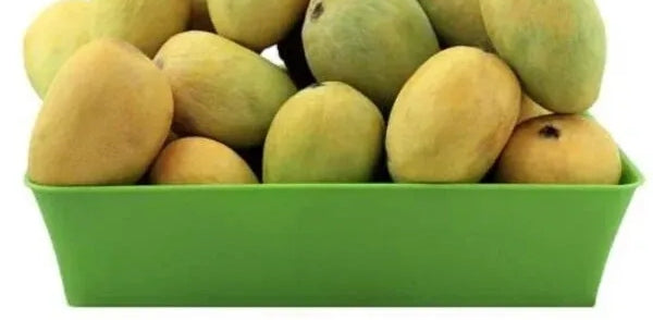 Anwar Ratol Mangoes: A Taste of India in the USA