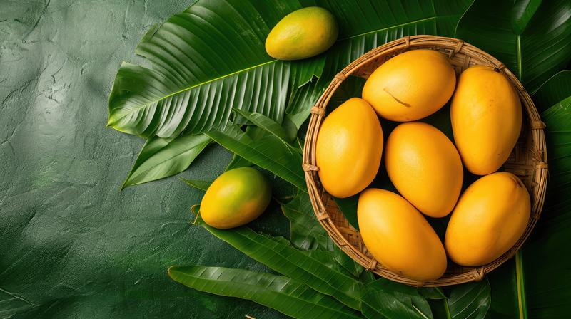 Mangoes for Sale | Get the Best Indian Mangoes in the USA
