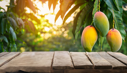 Trusted Websites for Alphonso Mangoes Online Purchase