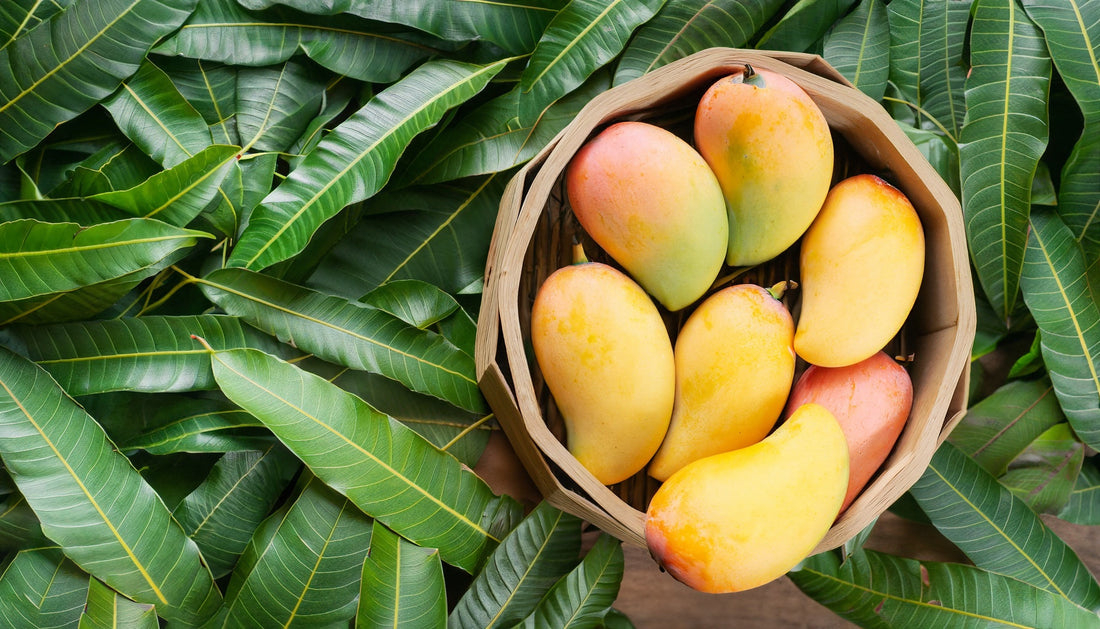 How Indian Mangoes in USA Are Winning Hearts