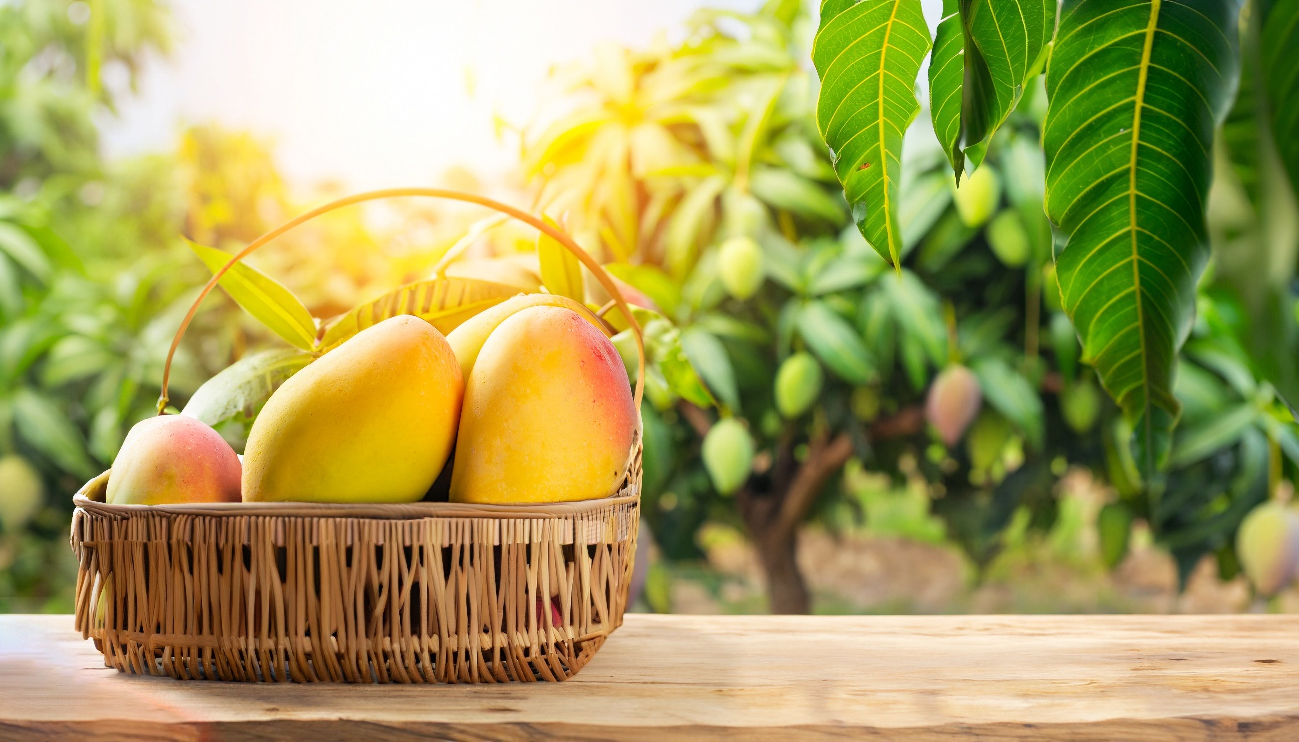🥭Why Rasalu Mangoes Are a Must-Try This Summer – Fresh mangoes